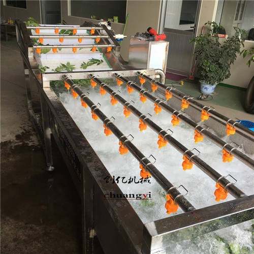 食品加工厂用蔬菜清洗机上海青清洗机厂家直供洋葱大葱清洗机