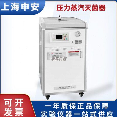 上海申安LDZM-40KCS 60KCS 80KCS LDZM-60KCS-II压力蒸汽灭菌器