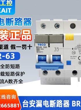 BR-32 BR-63 2P原装台安TECO漏电开关小型断路器过载保护器开关