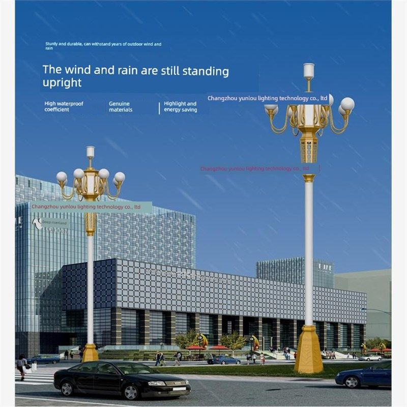 华光5.6米9g火8.1米九头白玉兰路灯户外灯高杆路灯景观广场灯