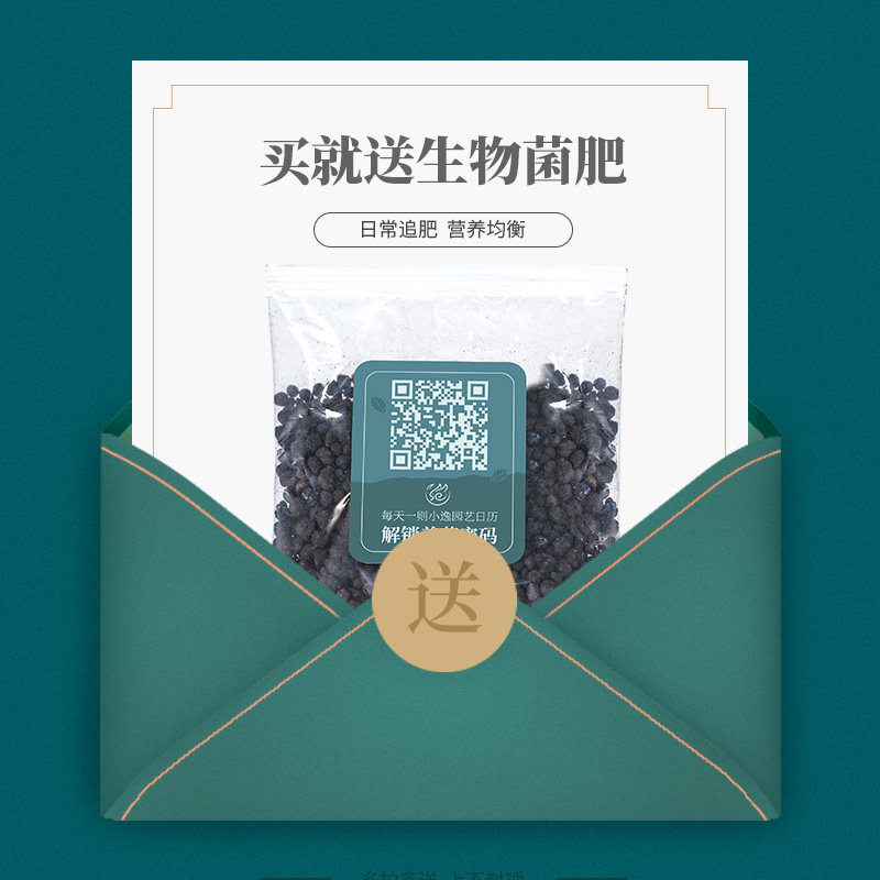 托盘长方形花盆超大塑料加厚大号接水盘多肉底盘大尺寸树脂底座
