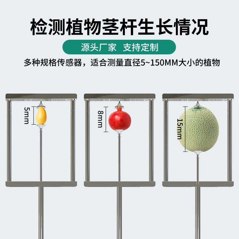 果实生长传感器变送器水果发育监测植物茎干生长微变化自动测量仪