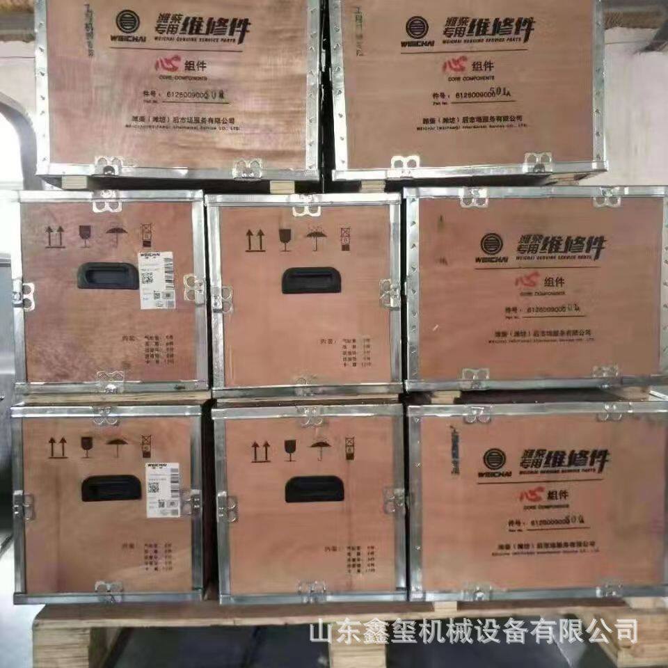 潍柴WP10H芯组件发动机总成  四配套 缸套 活塞 612600900072图片