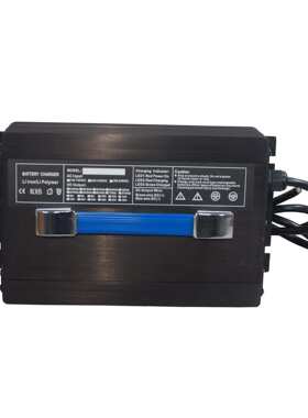 伊赛1200W带显示大功率12V45A48V18A电动设备电池智能充电器