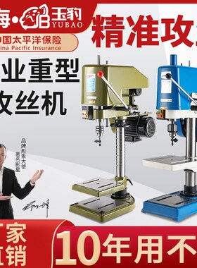 攻丝机大功率重型工业台式攻牙机丝攻机小型全自动SSWJ-12套丝螺