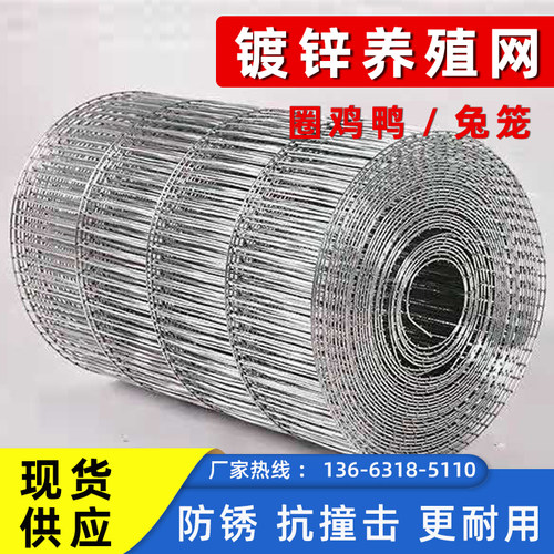 长孔鸟笼a网宠物养殖网鸽子网电焊网家用兔笼铁丝网镀锌网片垫底
