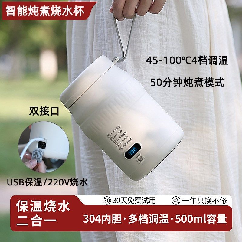 非洲马便携烧水杯小型外带USxB电热水杯迷你电炖杯恒温婴儿调奶器