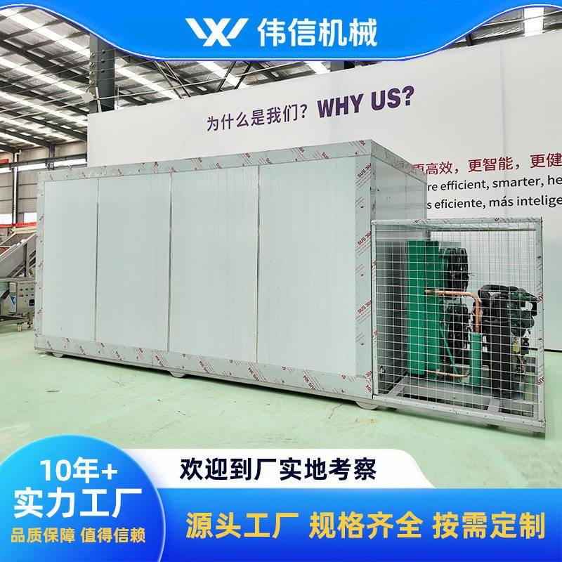 200kg双车速冻柜急速冷冻柜双开门竹笋冬笋速冻机