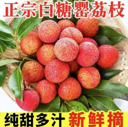焕生源 正宗高州桂味白糖罂荔枝生鲜发货后不退慎拍 【罗娜专属】