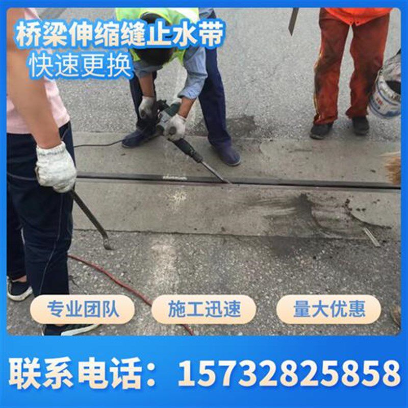 安装更换桥梁伸缩缝止水带橡胶支座调平同步M顶升旧桥维护路面修