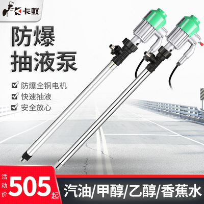 220V电动防爆抽油泵/不锈钢抽液泵/甲醇汽油抽油泵/加油泵