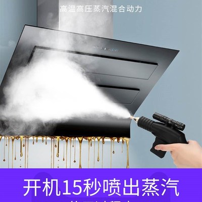 现货速发蒸气清洗机地暖脉冲洗小型管道蒸汽洗车机清洁设备家用高