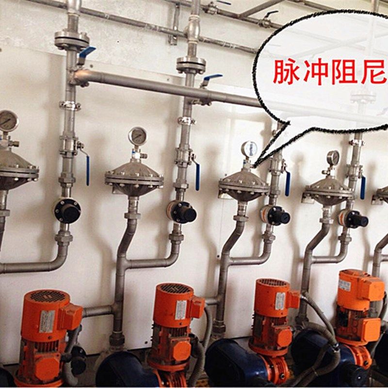 膜片式脉冲阻尼器304不锈钢316L脉动缓冲器 DN15/20/25PVDF气囊式