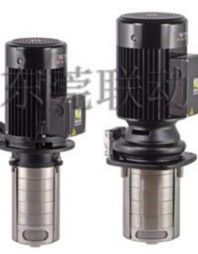 WALRUS 大井机床油泵TPHK12T9-3S