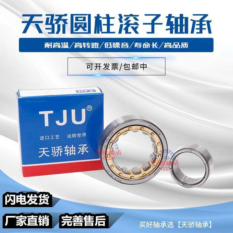 TJU轴承 RN 304 305 306 307 308 309 310 311 312 M/ECM