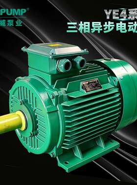 YE4/2三相异步电动机中威泵业WLPUMP