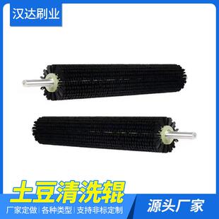 厂家供应土豆清洗毛刷 果蔬清洗刷辊 去尘毛刷器水果清扫器毛刷辊