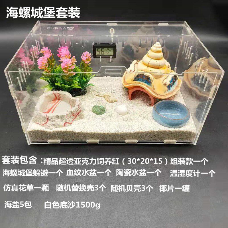 寄居蟹新手儿童套装 草莓 短腕 深紫 灰白寄居蟹 主题套装
