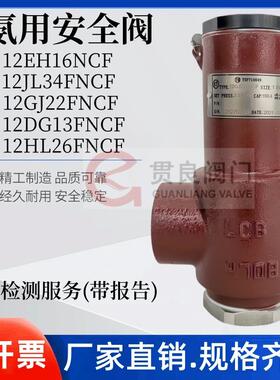 工业冷冻安全阀12DG13FNCF蒸发器冷凝器CSA-12C300CDN151/2