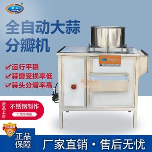 机械生产商用大蒜分瓣机把整个大蒜一个个分开再用脱皮机去皮