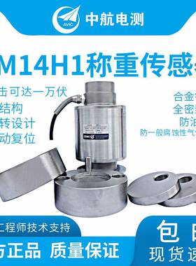 ZEMICHM14H1平台秤料斗秤地磅称重传感器