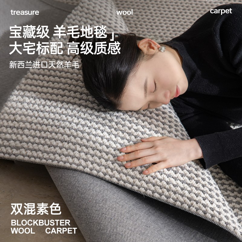 2025新款羊毛地毯客厅家用沙发茶几卧室床前边轻奢高级感现代简约