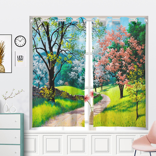 简易小飘窗帘遮光卧室免打孔窗帘半帘短帘房间短窗免安装伸缩杆布