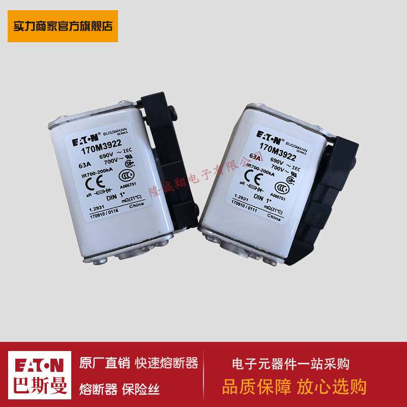 熔断器170M3923 170M3924 170M3925 170M3926 170M3927 170M3928