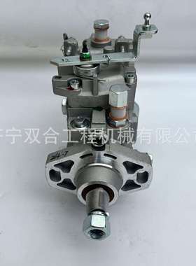 VE泵总成 发动机燃油泵 22100-5D180 22100-17010 22100-1C150