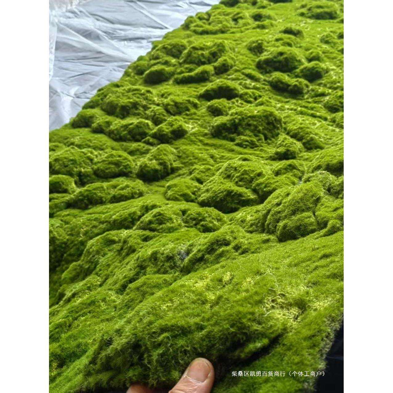 永生绿苔草皮假苔藓摆件园林造景盆景橱窗苔藓装饰墙人造草坪