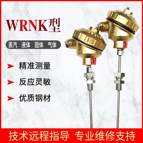 WRNK-321铠装热电偶,快速响应K型热电偶 PT100可弯曲测温探头