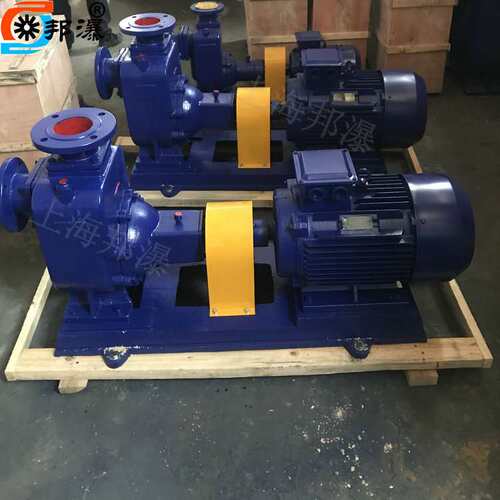 卧式自吸式清水泵 50ZX12.5-32-3 直联自吸泵 自吸式离心泵