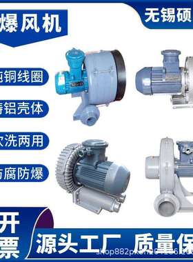 1.5kwCT4中压防爆风机 3千瓦气体防爆鼓风机 2.2千瓦防爆型风机