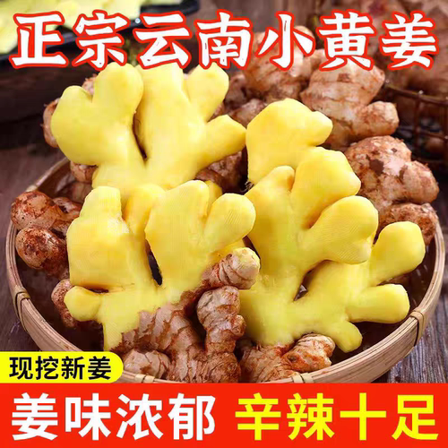 云南小黄姜鲜姜生姜新鲜现挖老姜自种姜嫩蔬菜整箱批发农家辛辣
