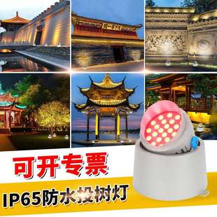 新款led投光灯投射灯照树灯户外室外防水七彩rgb外墙灯亮化洗墙灯