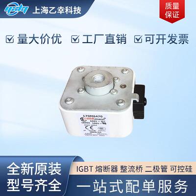 巴斯曼熔断器 170M6471 170M6474 170M6478 170M6480 170M6481
