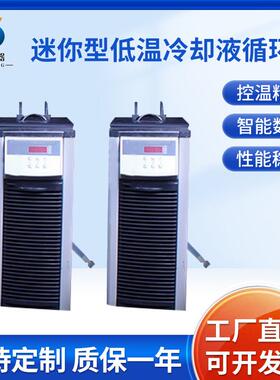 德正CCA-20/420迷你型低温冷却液循环泵 2-5L旋转蒸发仪配套设备