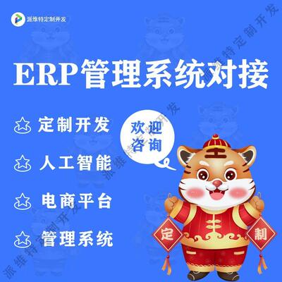 ERP管理系统对接API接口大数据交互定开发电商平台开发