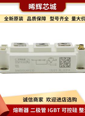SKM300GA128D SKM300GA12T4 库存充足 型号齐全 功率半导体igbt