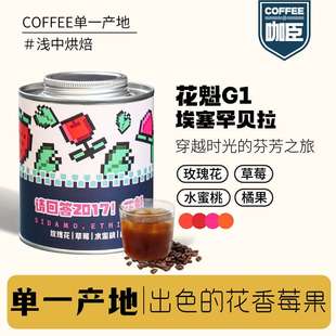 咖臣请回答2017 花魁西达摩BUKU日晒浅中烘焙手冲精品咖啡豆150g