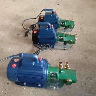 高温齿轮油泵 齿轮泵 电动抽油泵 WCB手提式 泊头油泵