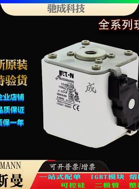 巴斯曼170M6558 170M6559 170M6560 厂价直销批零兼营 方体熔断器