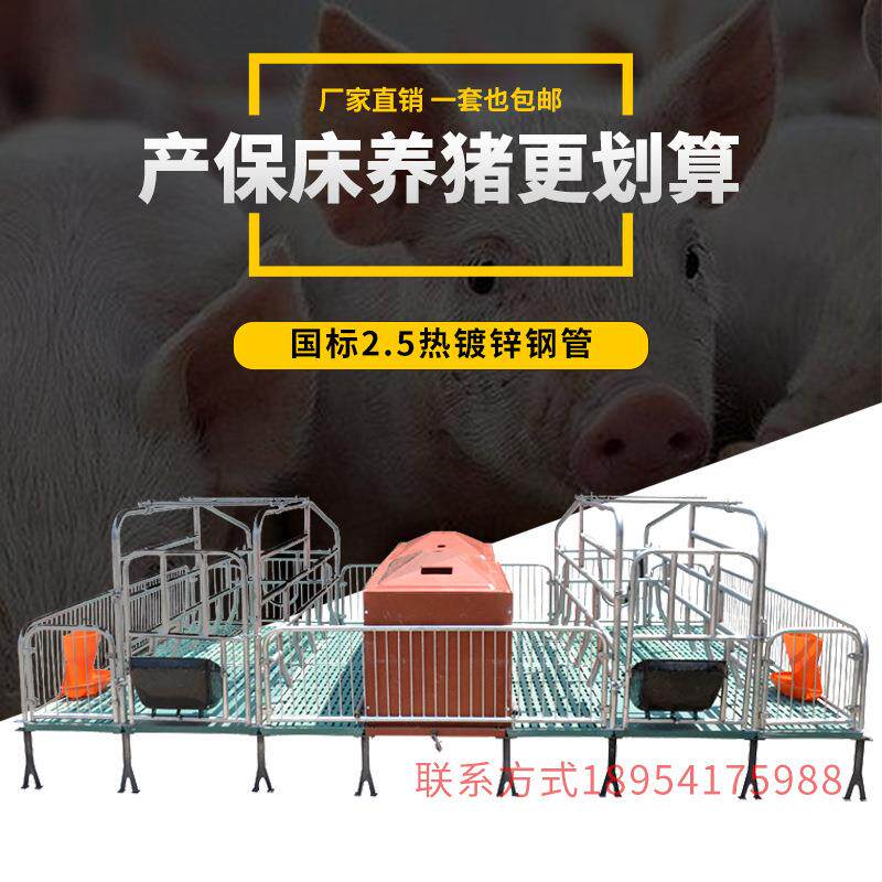 老母猪产床 双体复合板热镀锌国标分娩栏产保两用猪产子高床定位