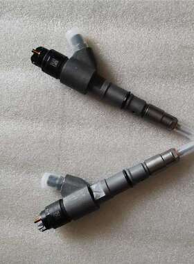 EC200B喷油器 20798683 0445120067 04290987 D6E喷油嘴 EW145B