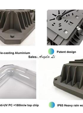 S微波感应耐高温35w60w80w100w120w150w200w车间工厂天棚加油站灯