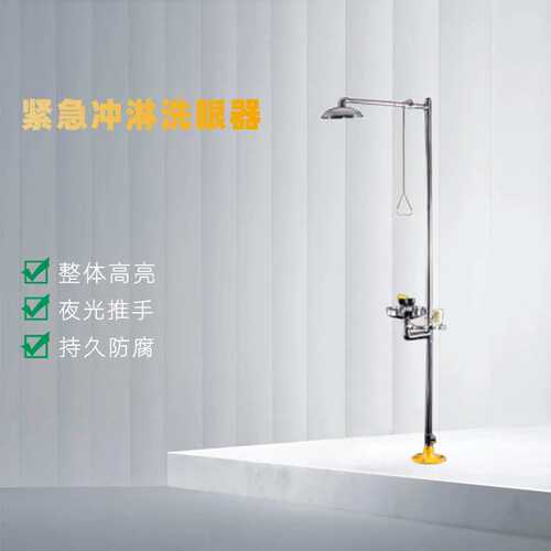 源头厂家直销复合式冲淋喷淋洗眼器 代发AH30-1010