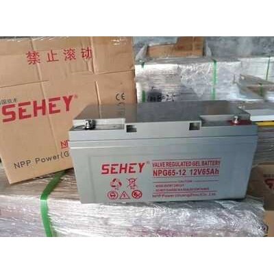 西力蓄电池NPG65-12 铅酸免维护电池12V65AH UPS/EPS直流屏后备