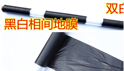 农用黑白相间地膜双米单白地膜银黑光色反双膜玉白蔬菜药材建筑膜