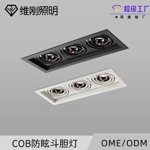 led射灯筒灯斗胆灯嵌入式双头四头cob家用天花灯可调光高显色