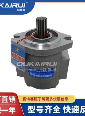 HCHC长源5-7吨合力13花键液压齿轮泵CBKC-G436-AT叉车用高压